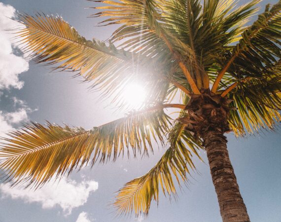 jared rice Tf qtxkNisk unsplash