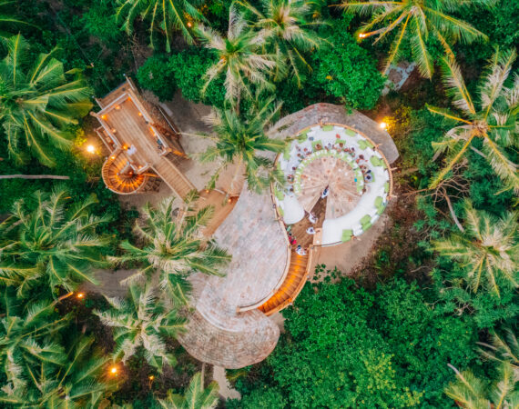 Flying Sauces from above