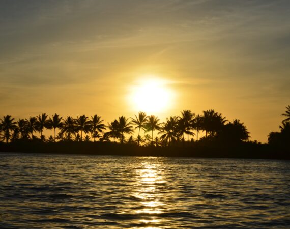 cesar a mazzillo jr tN9h1vuAp6Y unsplash