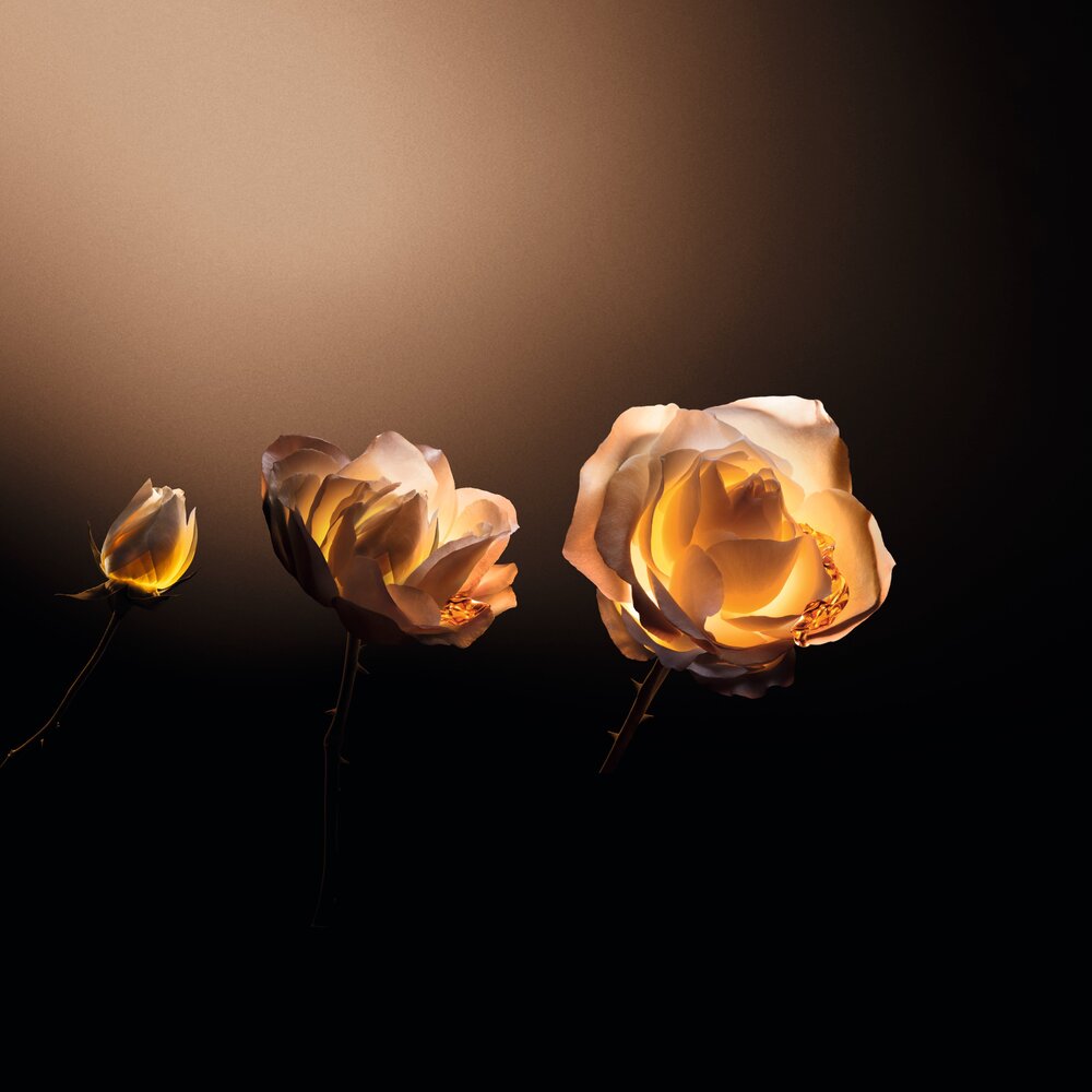 A23 S530 PRESTIGE LE NECTAR P22C TRIO FLEURS COMPO HORIZONTALE HR