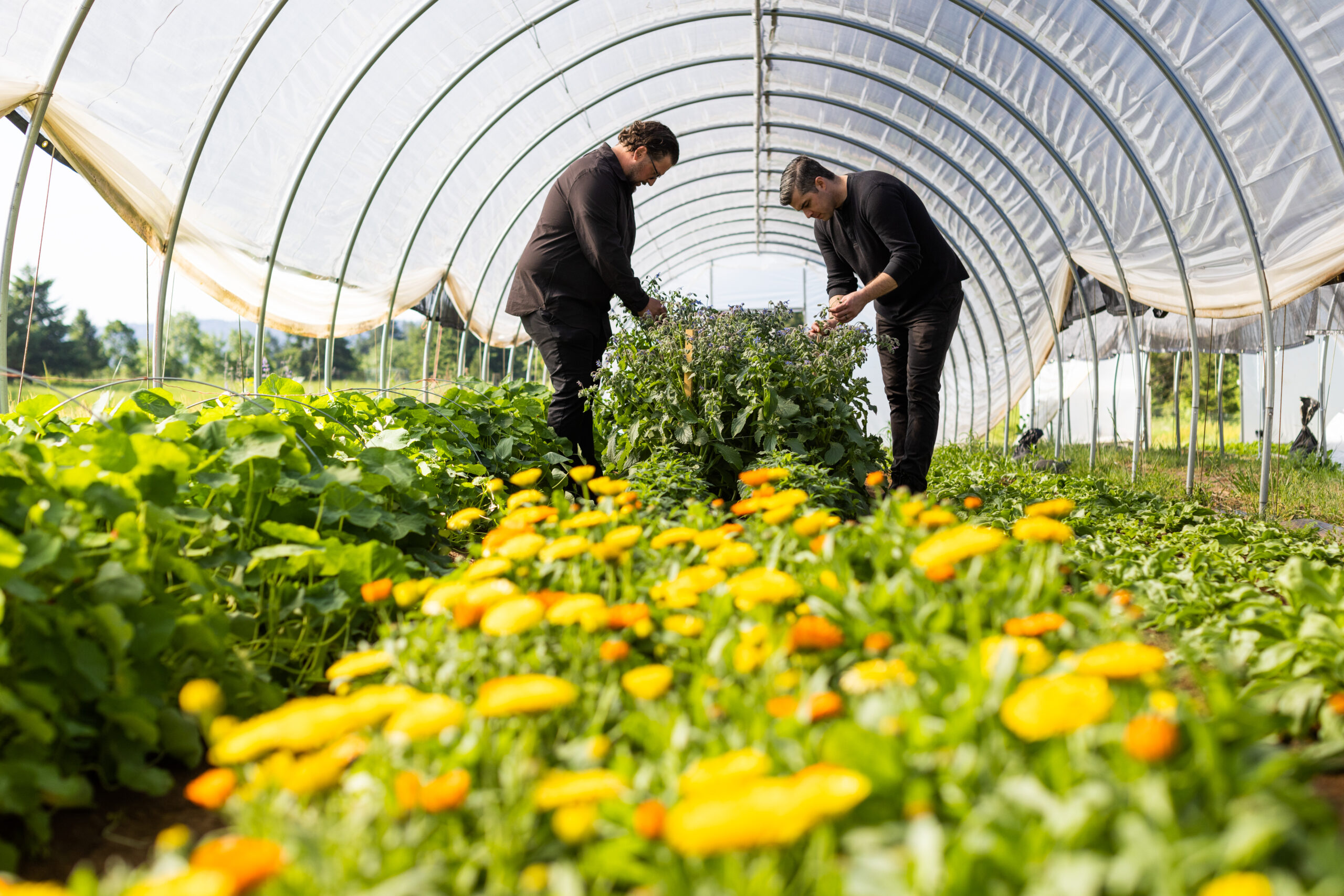 230519 Modoc Okta Farm 632 scaled