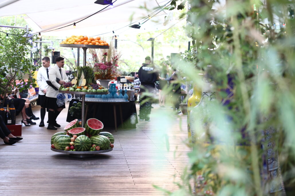 46 18 Years DOTS Establishment Ambiente