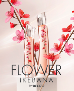 Bildschirmfoto 2023 09 19 um 09.49.28