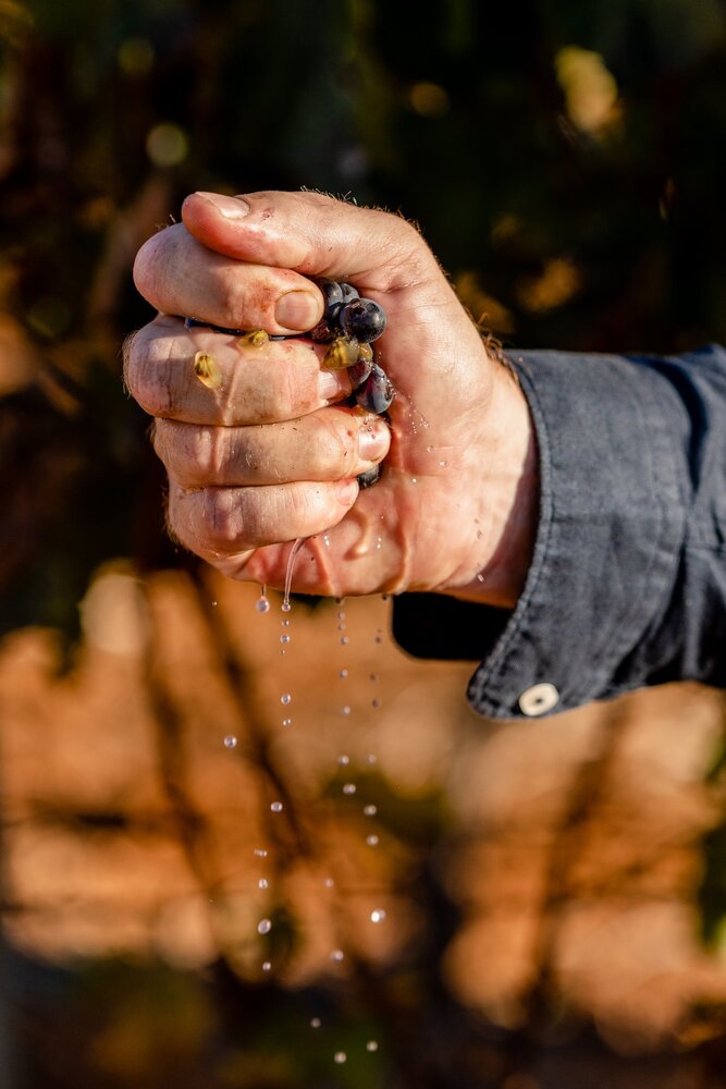 hands2 DelaireGraff ©Torch