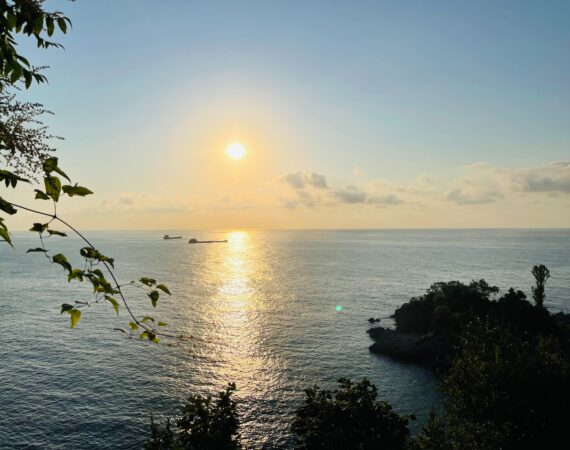 ozgu ozden oXqcq3VgfIw unsplash 1