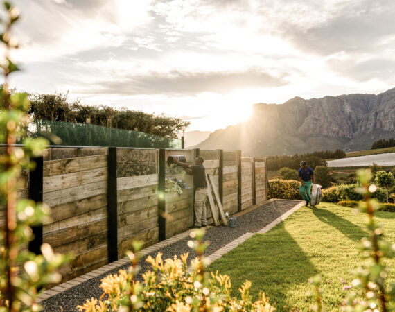 wineproduction2 DelaireGraff ©Torch