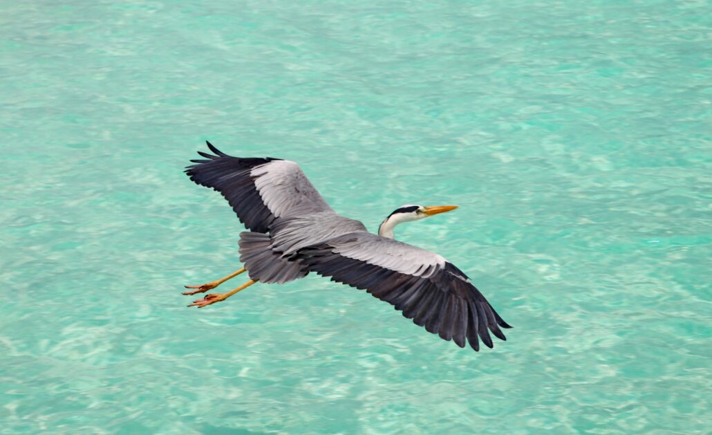 Sustainability 9 © Constance Hotels Resorts Golf