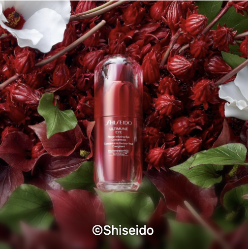 Bildschirmfoto 2024 11 17 um 19.16.10