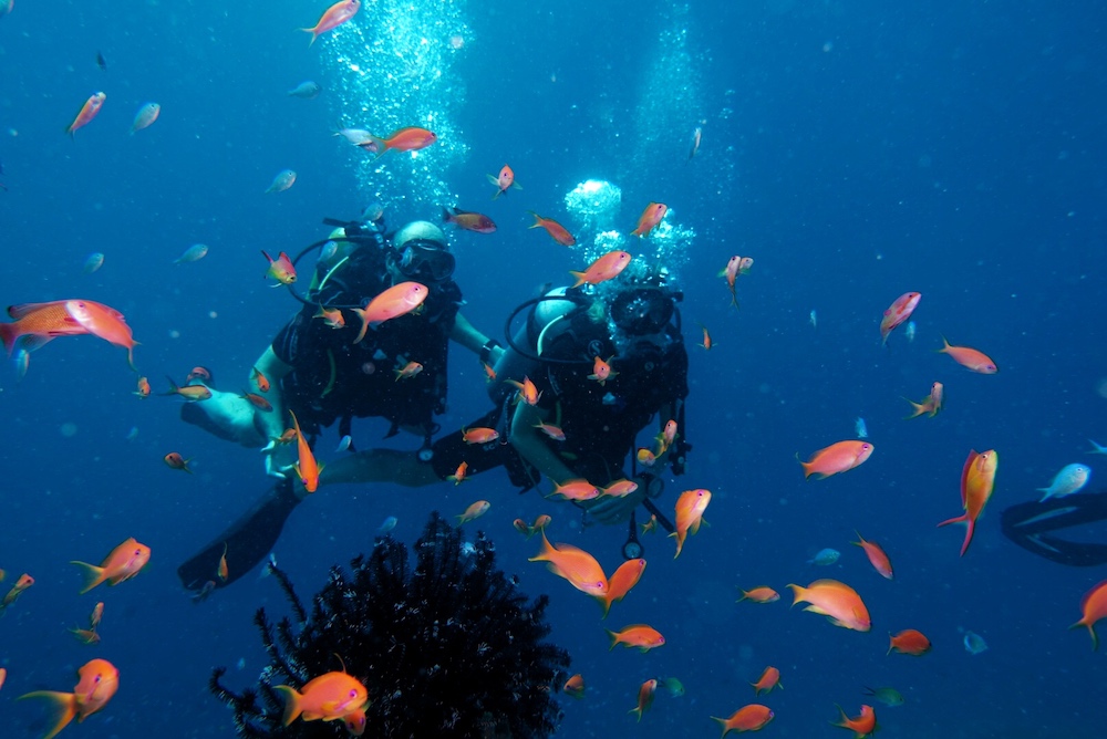 Diving c Kandolhu Maldives