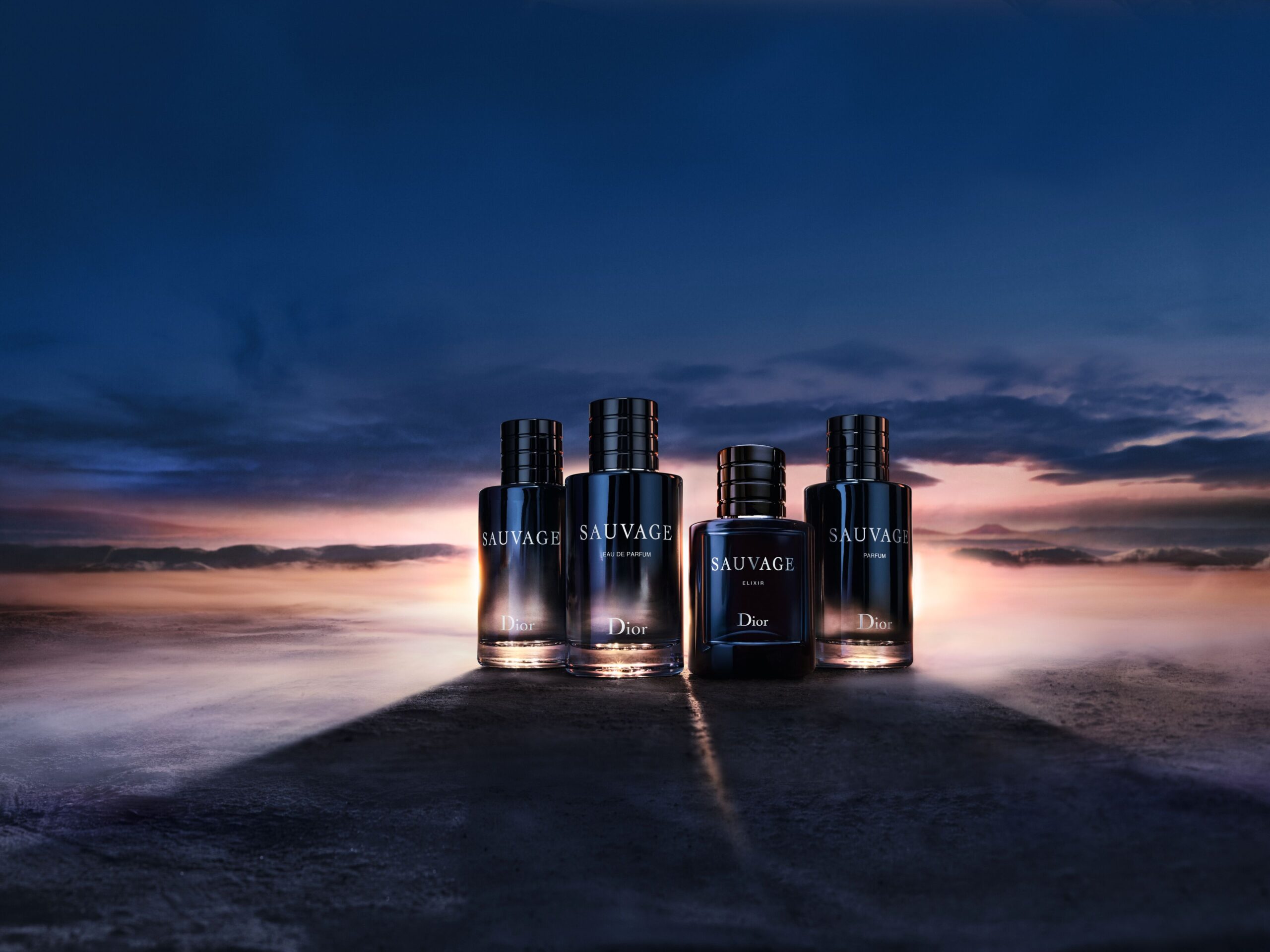 F946 SAUVAGE ELIXIR REPUSH 23 P05F OPT MAGE Quatuor L4 F39 scaled