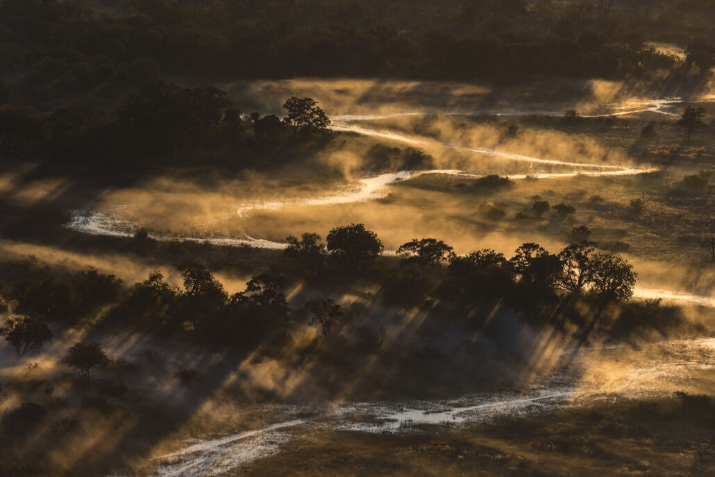 Guerlain AAForte Image01