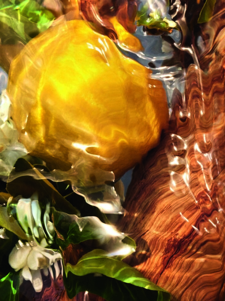 Guerlain AAForte Image04