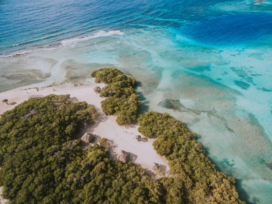 Mangroves At Mangel Halto Beach c Aruba Tourism Authority