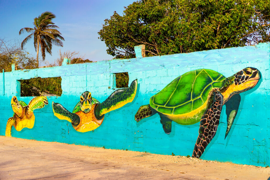 Save the Turtles c Aruba Tourism Authority