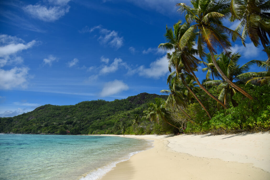 mahe anse marie louise 01 c Seyvillas