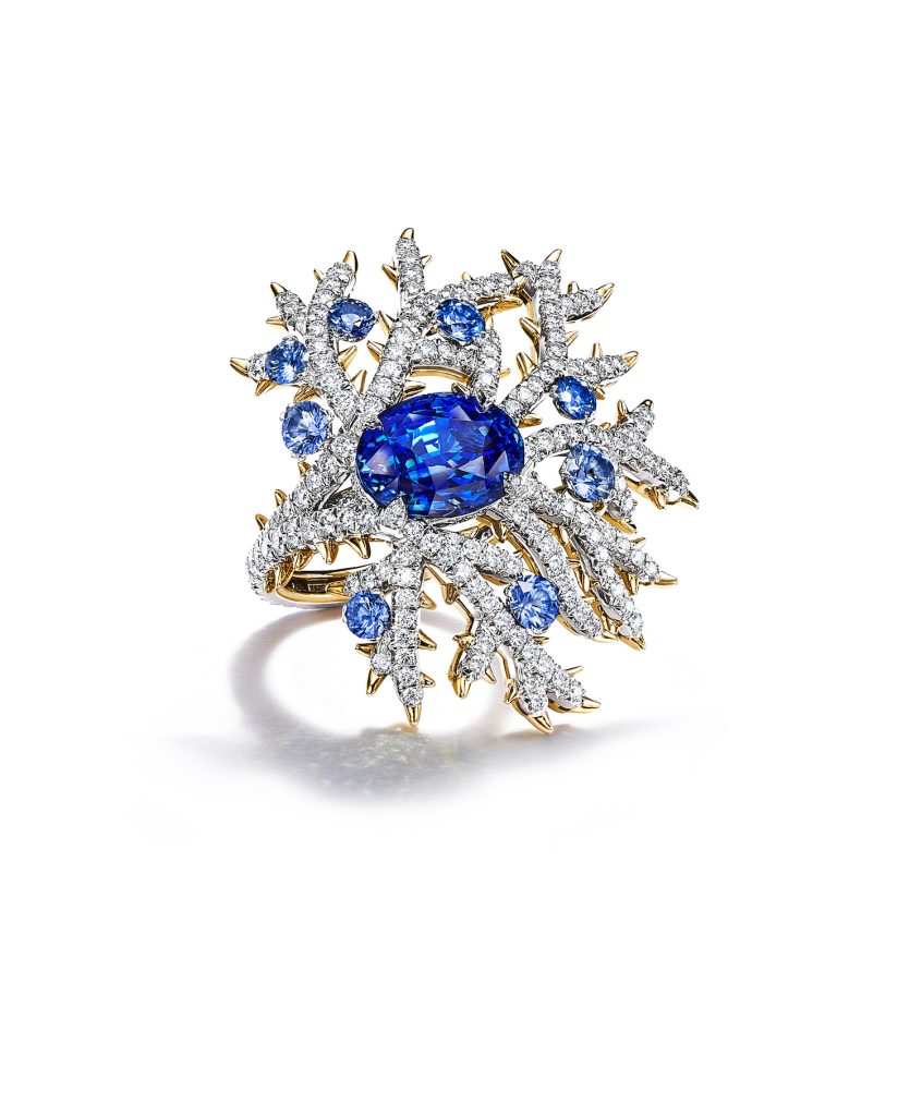 73479320 RG BB2023 v1 TM 042823 cv2 846x1024 1