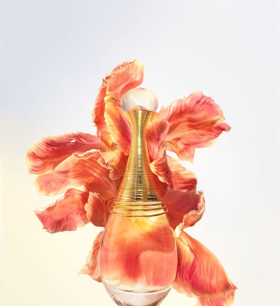 F607 JADORE RENO LOR 23 D12F Fleurs 2 Infinissime CROP L4 F39