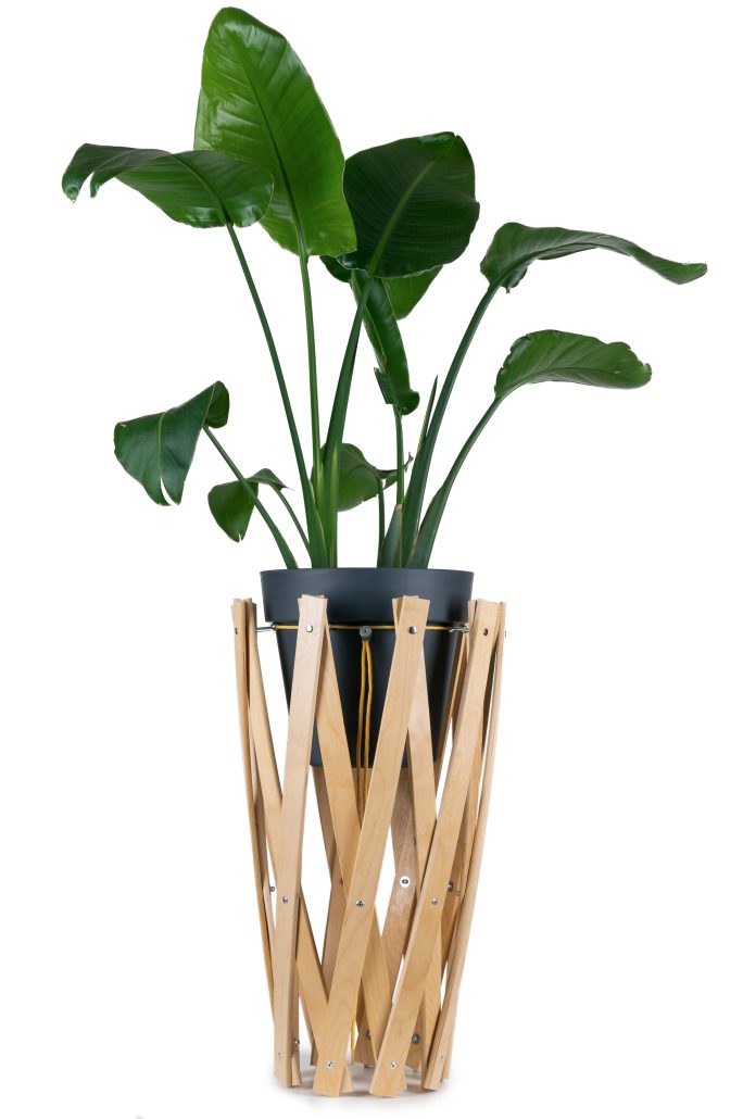 Salon Verde Snorre Pflanzst„nder