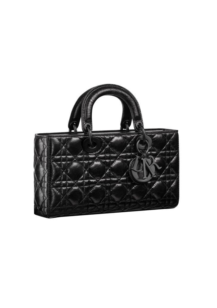 90 Dior Mode Femme Spring Summer 2024 Acc M0540SNINM900 E03