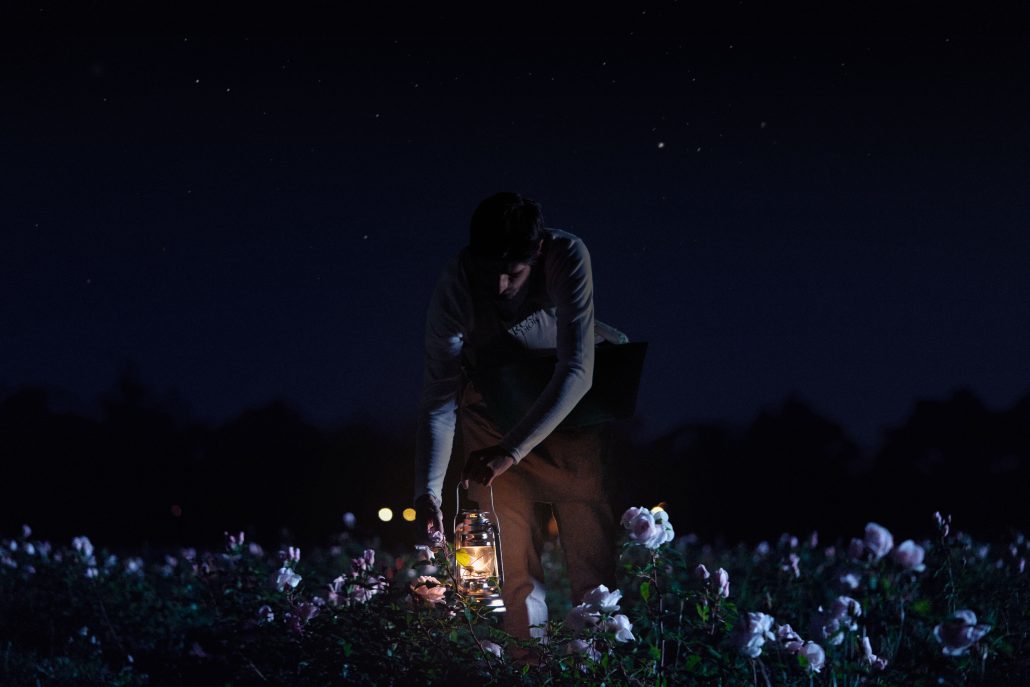 DIOR PRESTIGE THE MIDNIGHT ROSE HARVEST 4