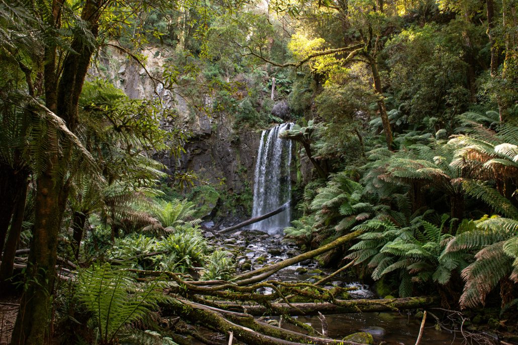 Hopetoun Falls The Otways c Visit Victoria 153067 56