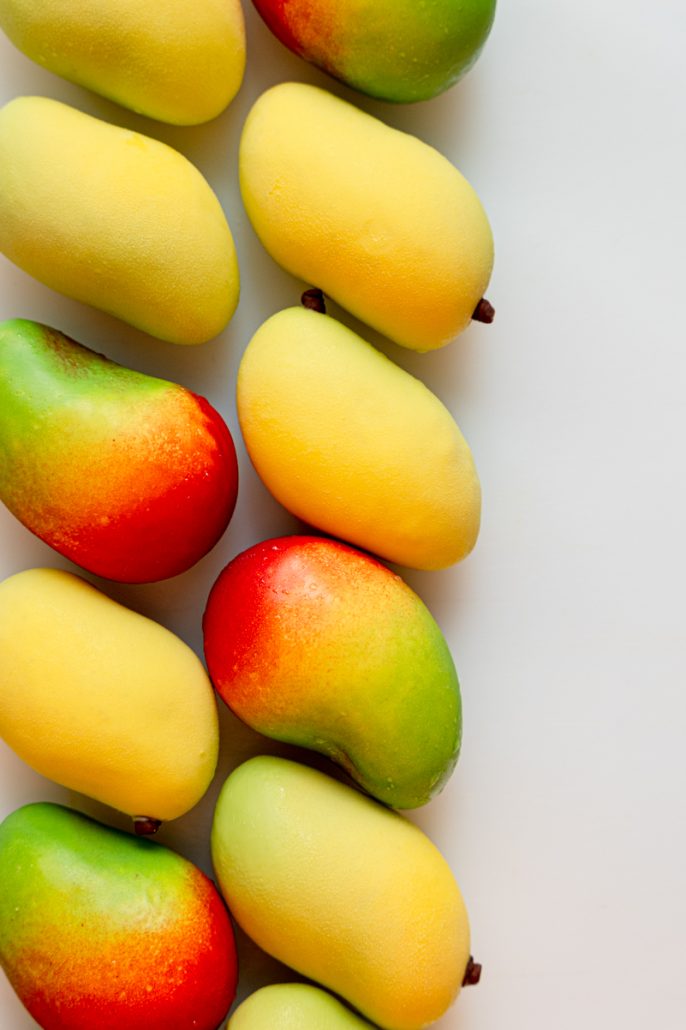 Mangue L1160308 Calvin COURJON