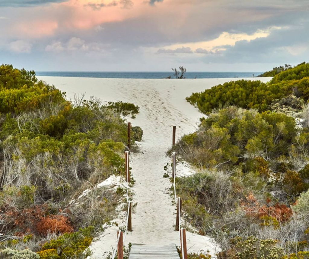 Morukuro Beach Lodge natureJPG 1024x856 1