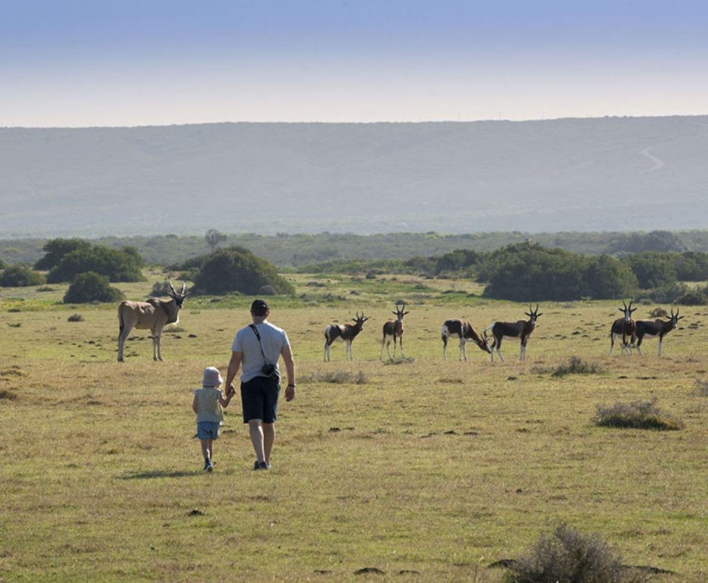 Morukuro Beach Lodge nature reserve 1024x844 1
