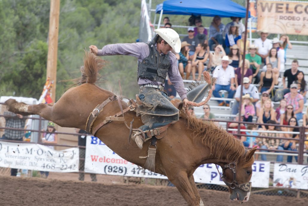 The Saddle Bronc photo credit The Payson Round UP