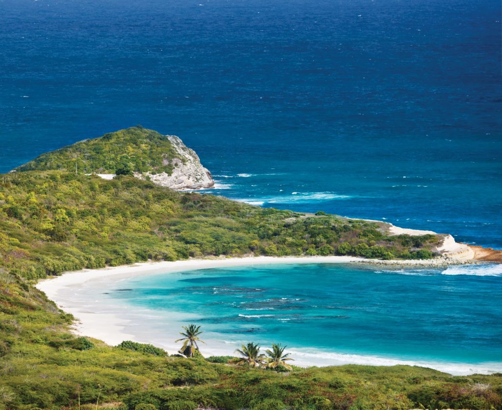 oneonly antigua final