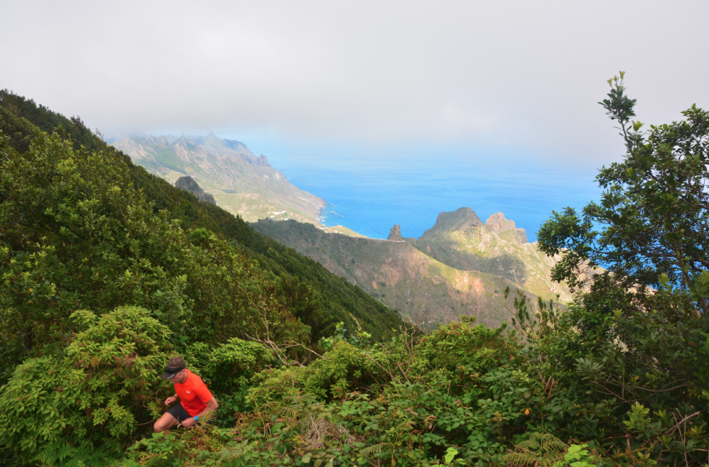 Bildschirmfoto 2024 02 15 um 09.55.34