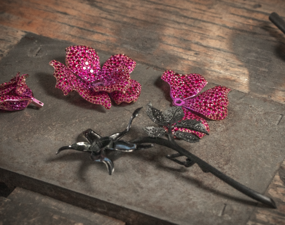 Bildschirmfoto 2024 02 20 um 10.46.26