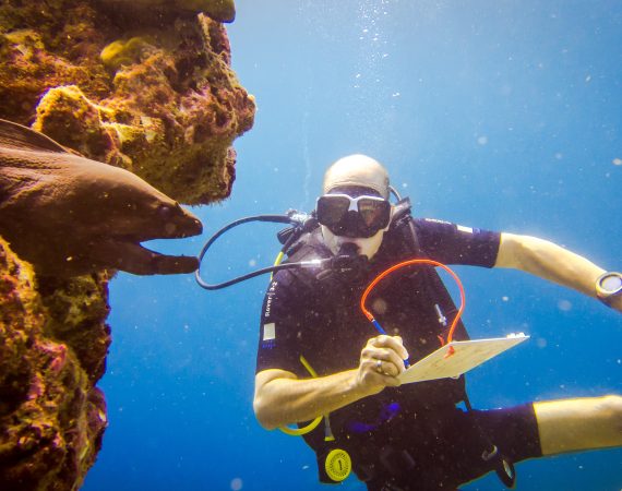 Gregory Burns underwater sketching