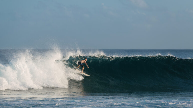 kuda villingili surfing natelee 1 770x430 1