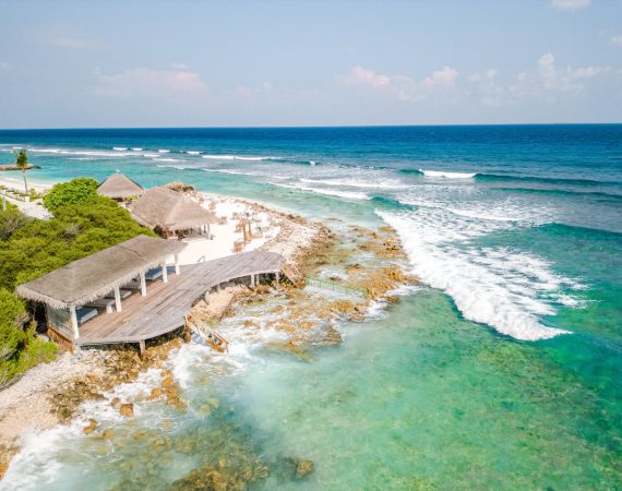 the chickens surf point scaled 1