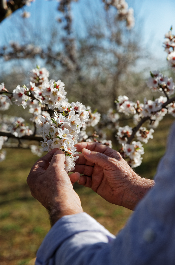 Bildschirmfoto 2024 03 13 um 09.42.00