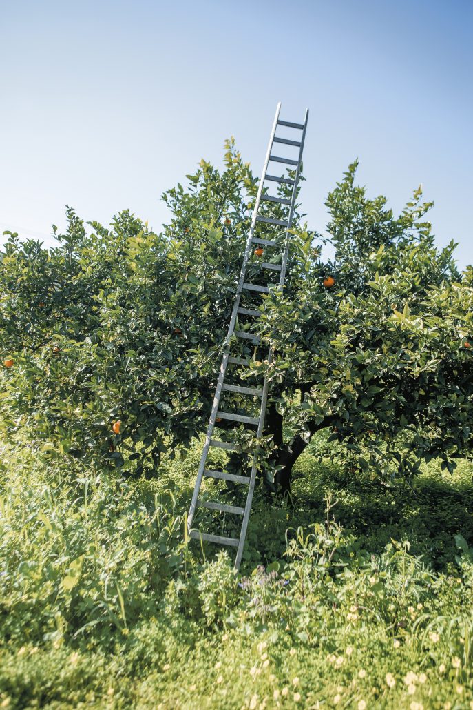 Louis Vuitton A Parfum Atlas 4