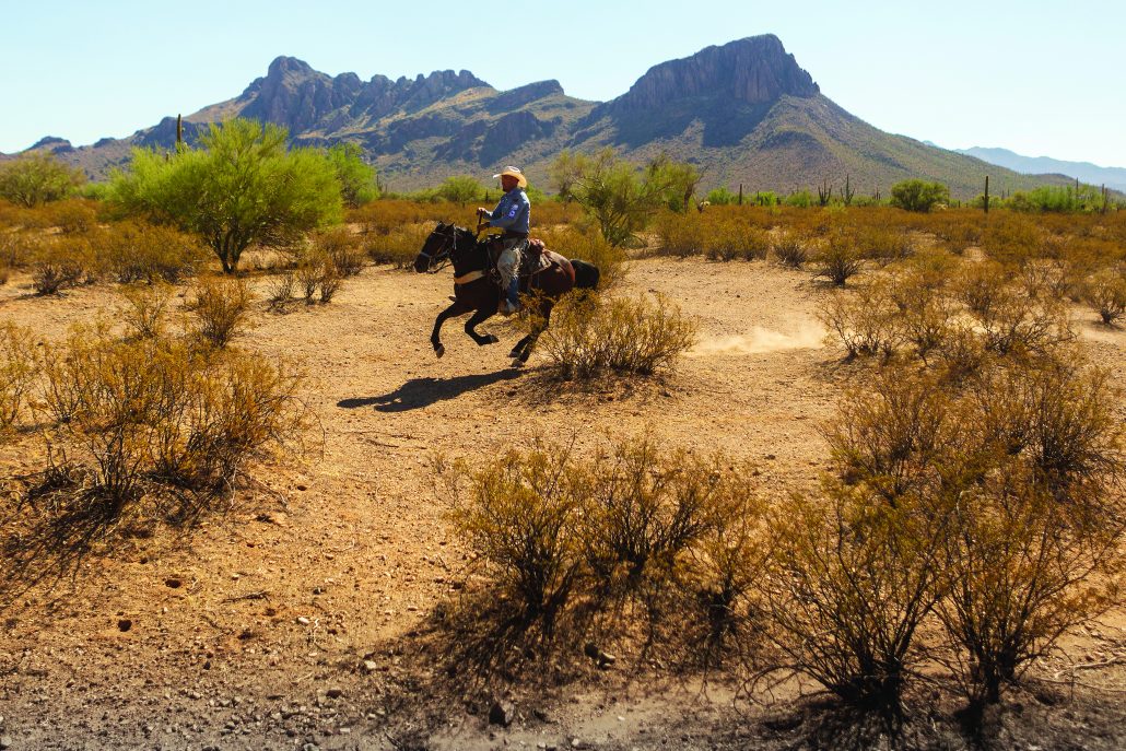 White Stallion Ranch 2 photo Andres Lobato credit required
