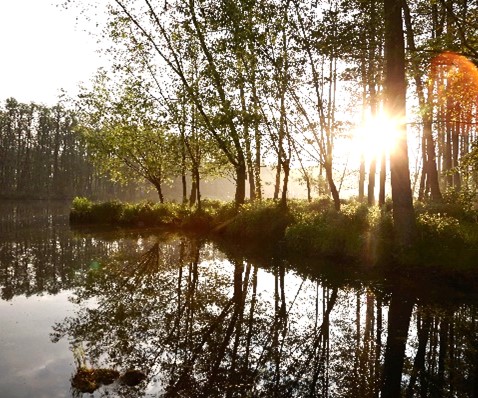 gutshaus stolpe naturpark peenetal