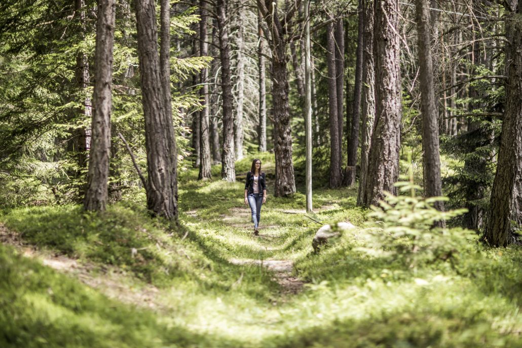 spazieren im tann wald hotel tann