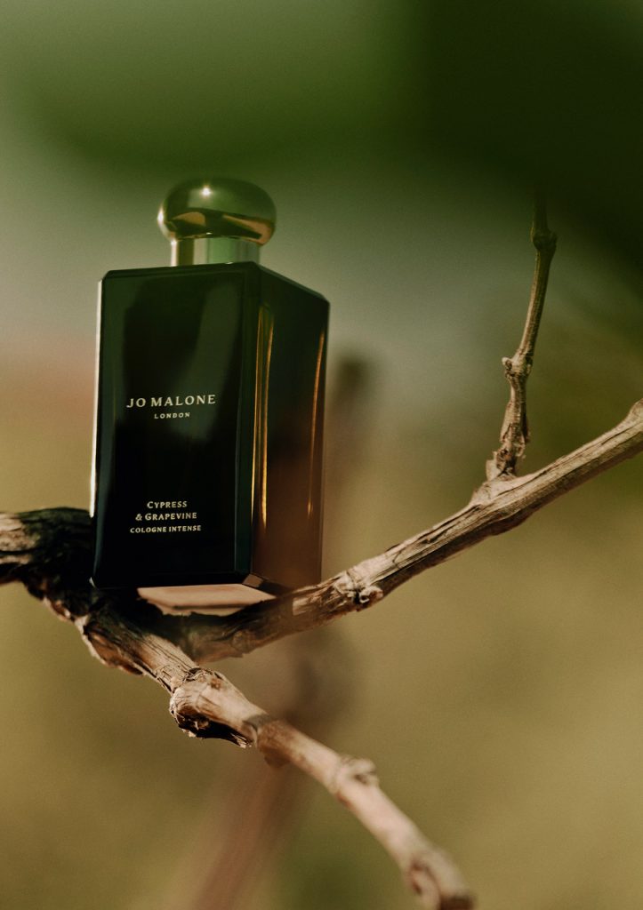 76532e1a eab3 1c90 64f4 7a64d4757cd1 723x1024 1