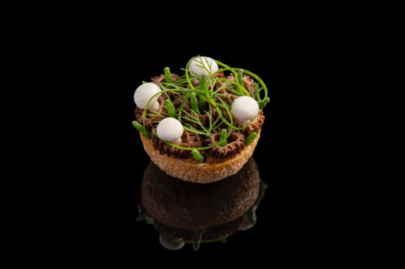 800 jaeger lecoultre chefhimanshusaini mysteriousforest 16 9