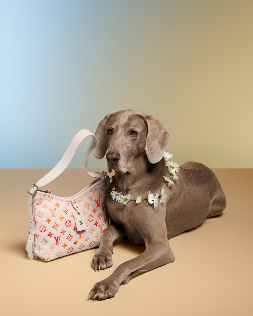 Louis Vuitton Mothers Day 2024 Still Life 26