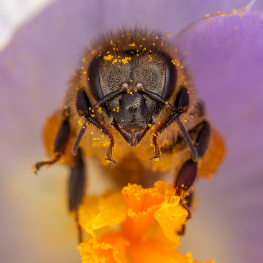 WBD24 COMPLEMENTARY VISUAL1 Mandatory copyrights @JORIS VEGTER 2000x2000