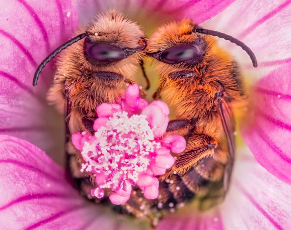 WBD24 SECONDARY VISUAL4 Mandatory copyrights @JORIS VEGTER 2000x2000