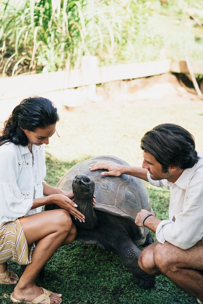 raffles seychelles models turtles