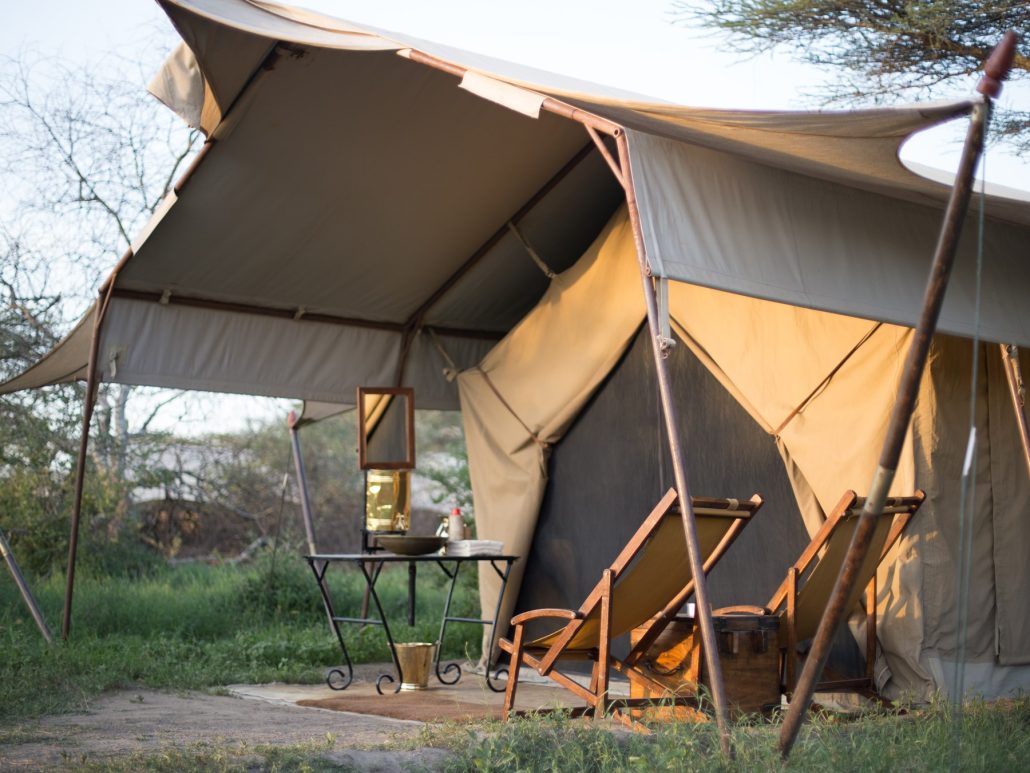 safari tanzanie parcs reserves animalieres 129933