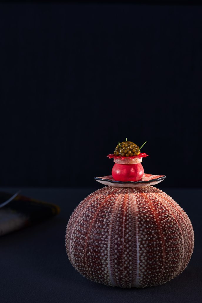 2024 Ocean Rest Dancing Shrimps 3