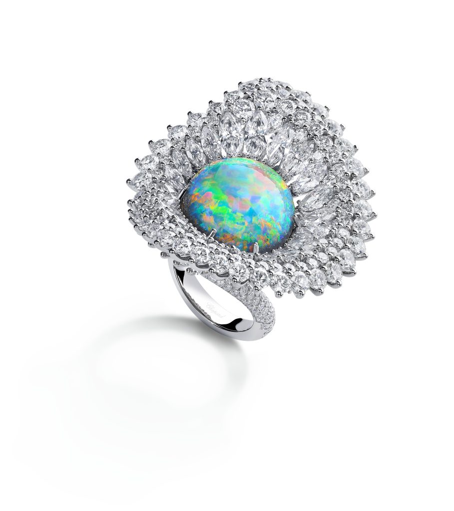 828978 1001 909x1024 1