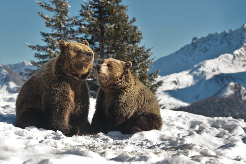 ABL Winter Amelia Meimo 05 1024x683 1